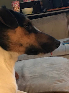 Meet your Posher, Min